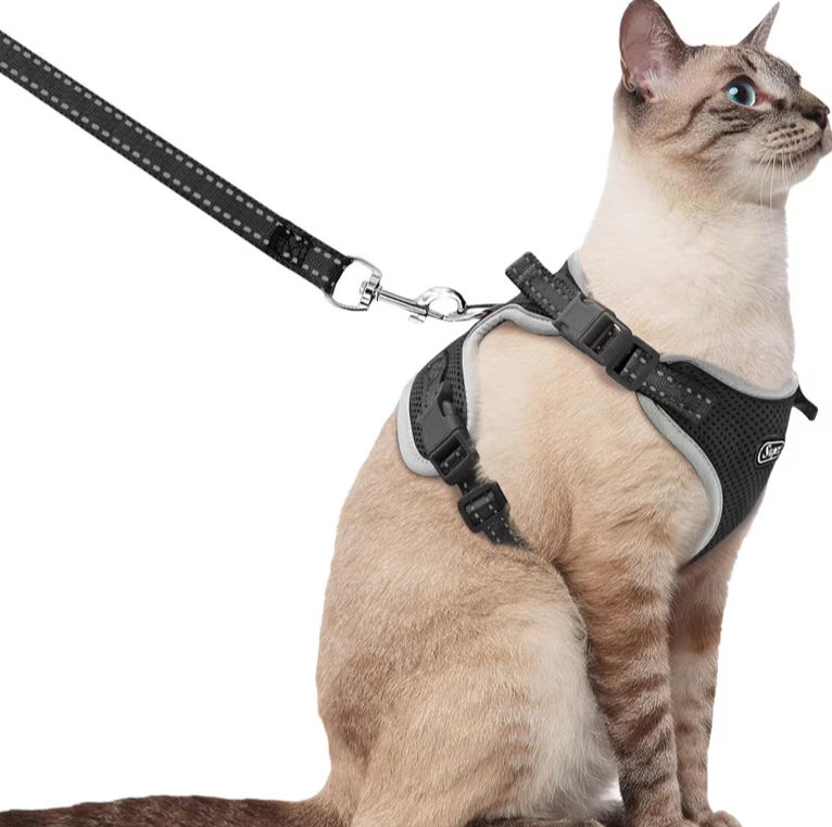 Supet Cat Harness & Leash Set