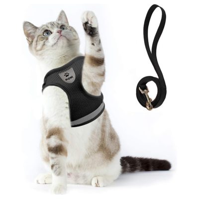 Supet Cat Harness & Leash Set