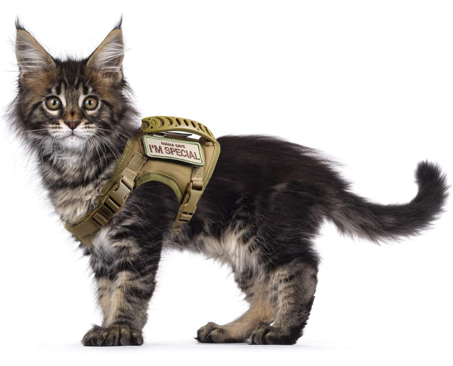 Tactical Cat Harness for Walking Escape Proof