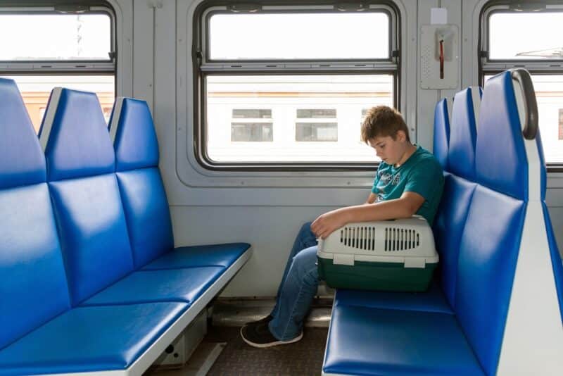 Teenager in a train with cat carrier