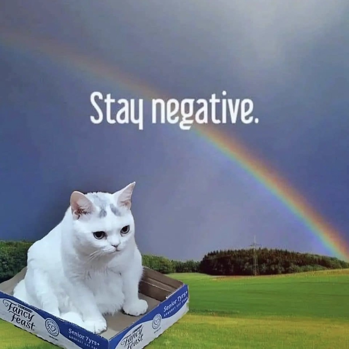 The Best Advice