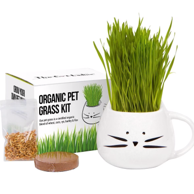 The Cat Ladies Organic Pet Grass