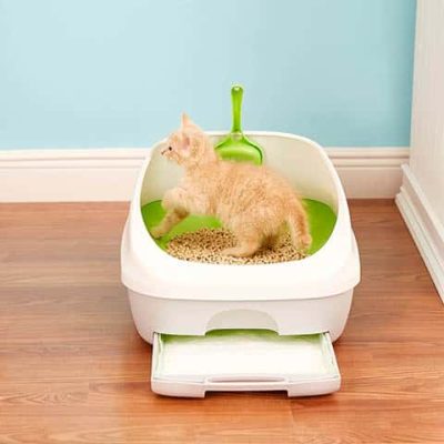 Tidy Cats Breeze Original Litter System