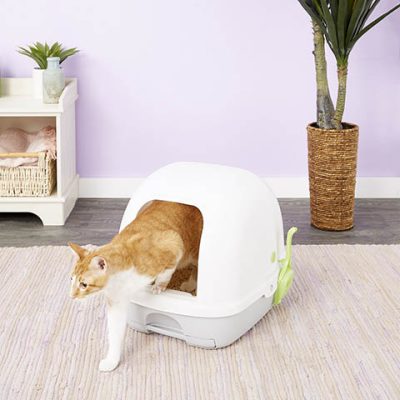 Tidy Cats Breeze Hooded Litter System