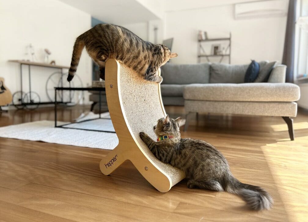Tony and Cheetah playing on Hepper Hi Lo Cat Scratcher