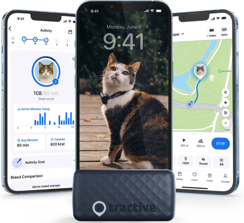 Tractive Email