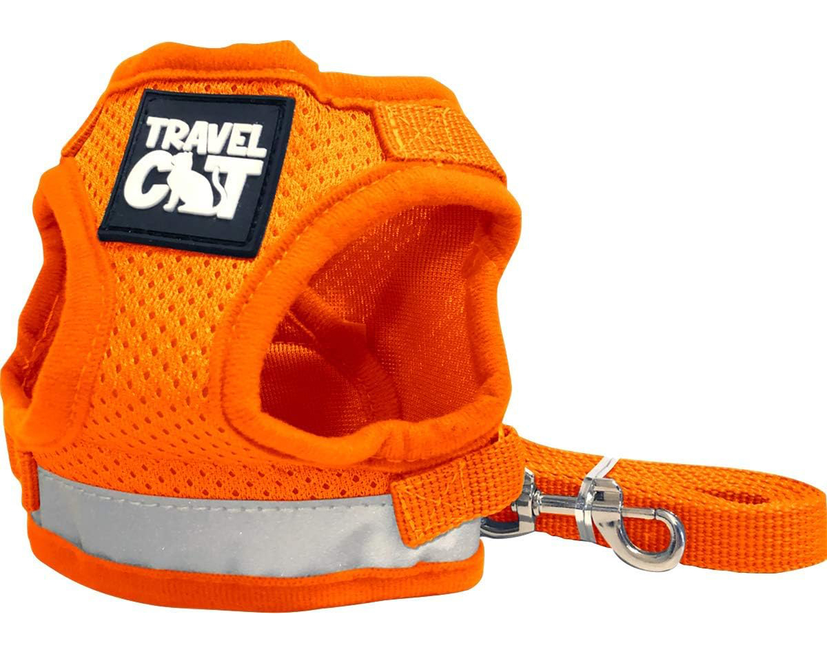 Travel Cat & Stray Cat Harness and Leash Set