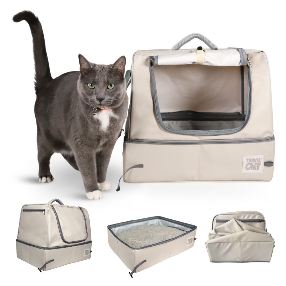 best cat litter box for car trip The Porta-Pawty