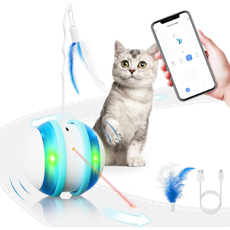 10 Best Remote Control Cat Toys in 2025 Reviews & Top Picks Catster