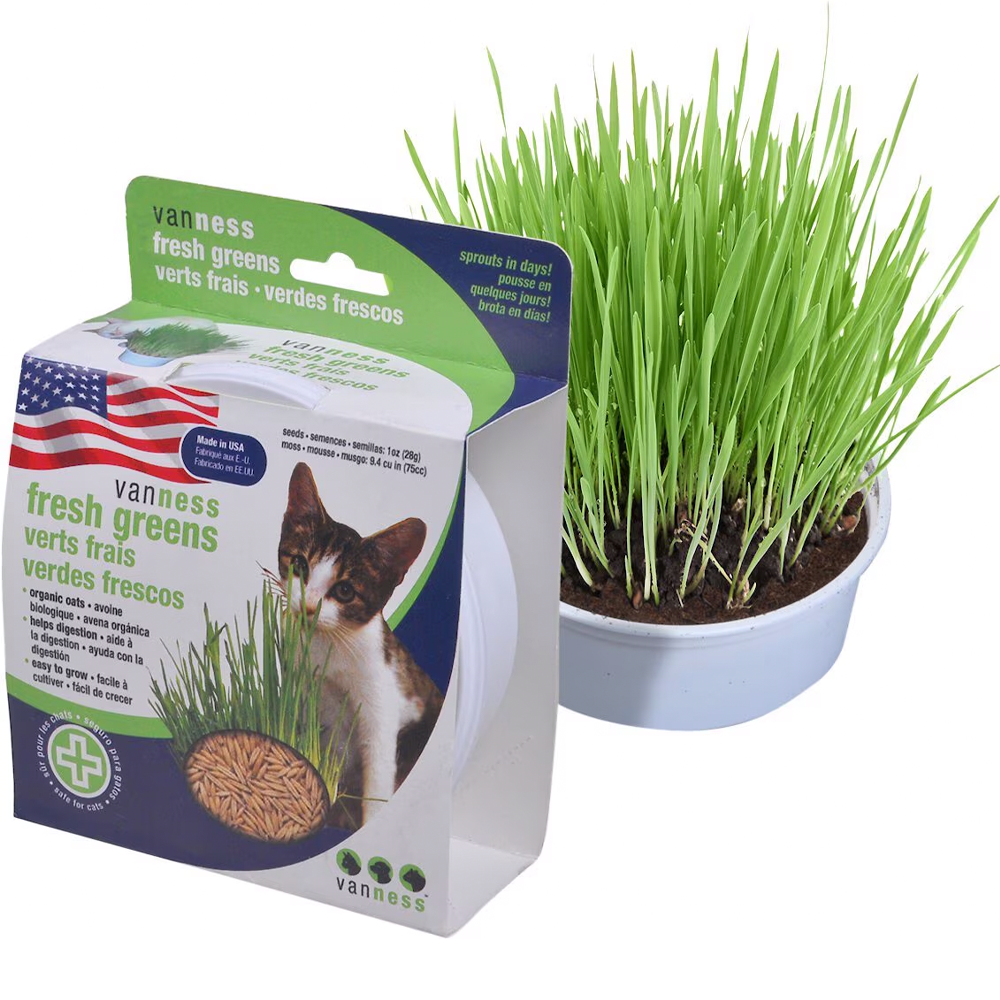 Van Ness Oat Garden Kit