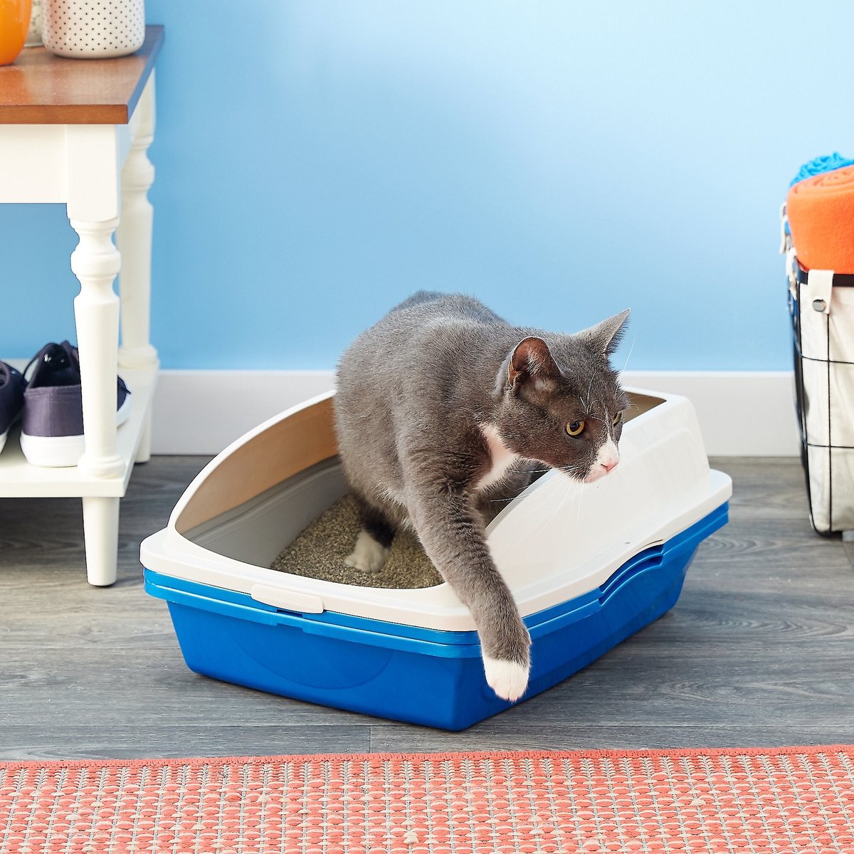 Van Ness Sifting Cat Litter Box