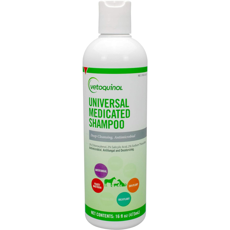 10 Best Ringworm Shampoos for Cats in 2025 Reviews & Top Picks Catster
