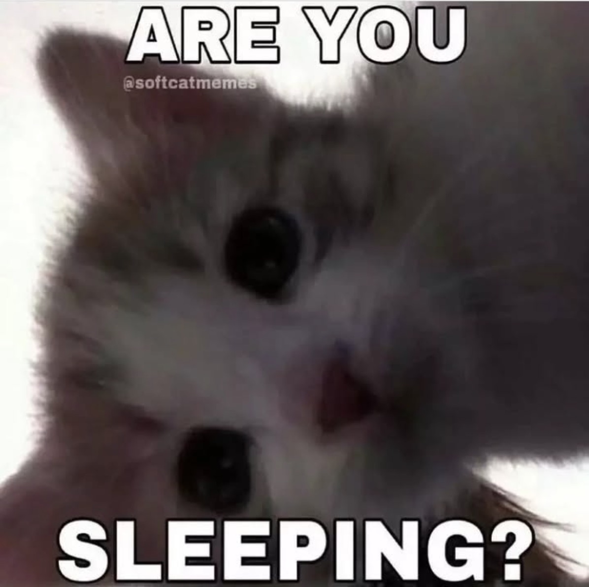 Wakey, Wakey