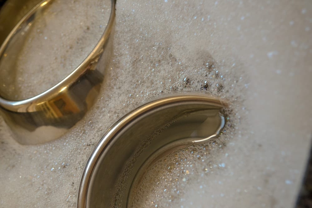 How to Keep Slugs Away From Cat Food 7 VetApproved Tips Catster