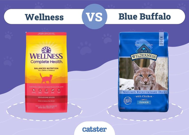 Wellness vs Blue Buffalo Cat Food Our 2024 InDepth Comparison Catster