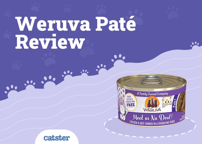 Weruva Classic Cat Paté Review