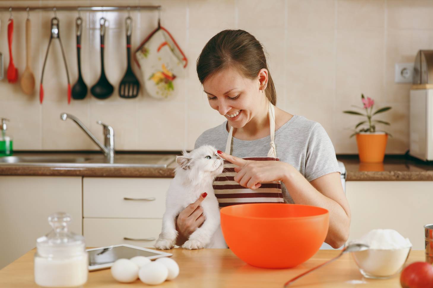 Woman Baking with Cat