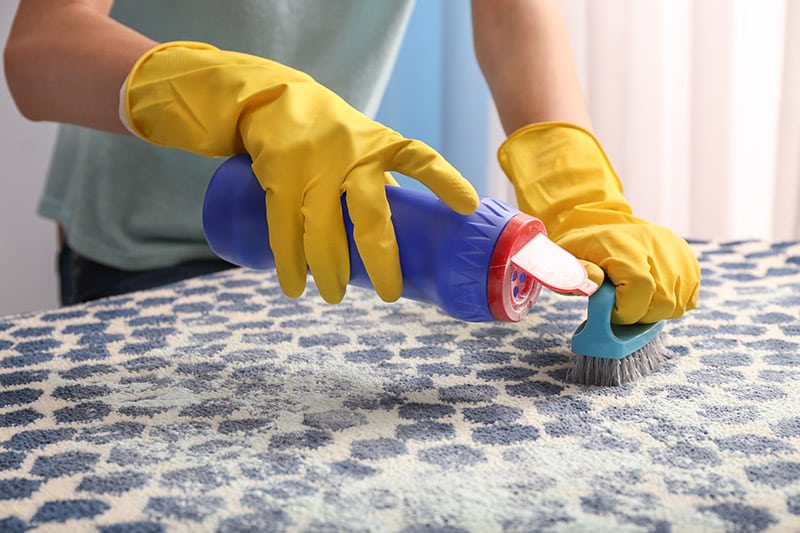 Woman cleaning carpet