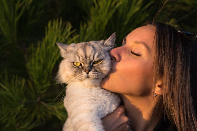 Does My Cat Hate Me? Signs, Causes & What to Do About It (VetVerified