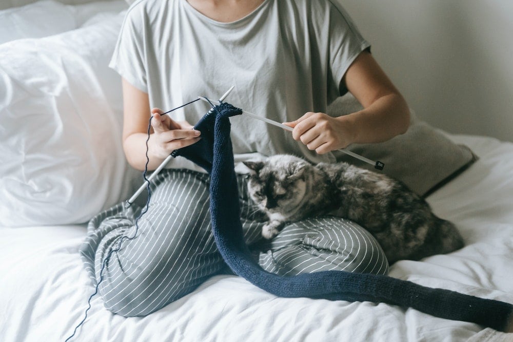 Woman knitting with a gray cat on her lap