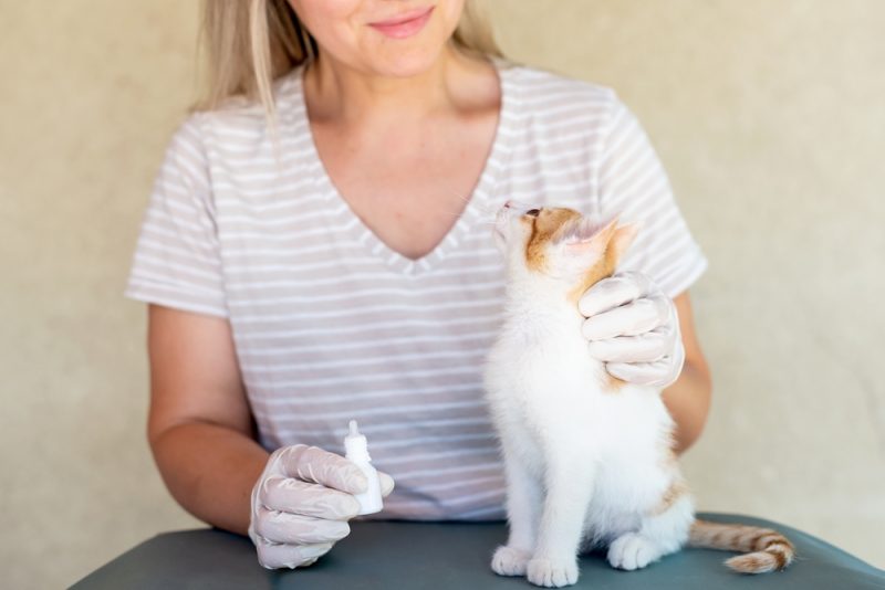 Woman with eye drops holding a cat