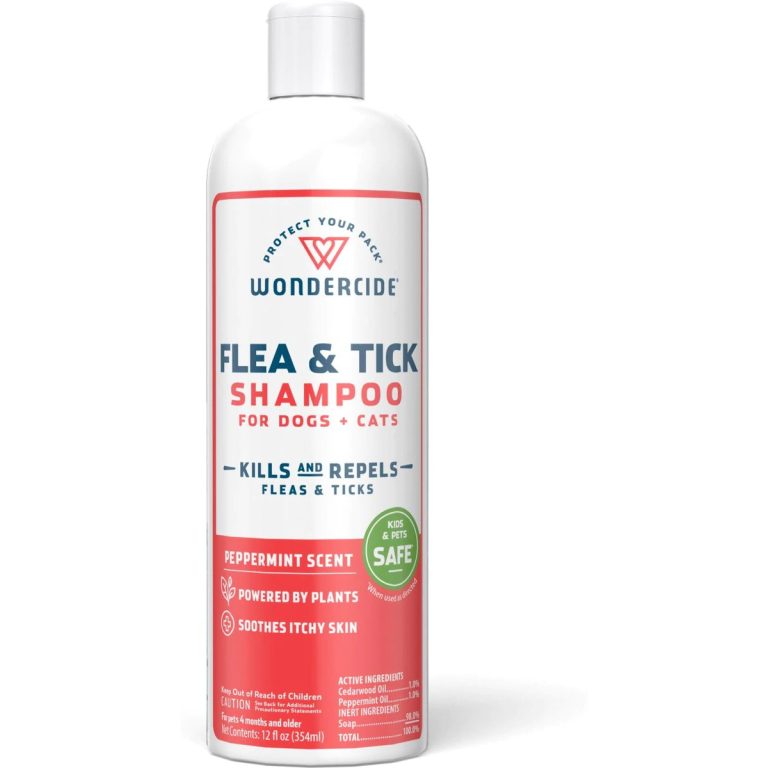 Picture of 8 Best Flea Shampoos for Cats in 2026 - Reviews & Top Picks - Catster