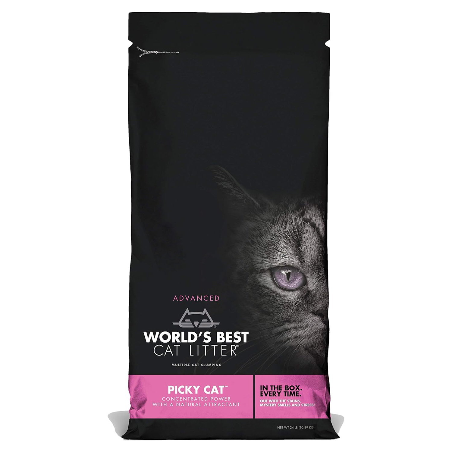 World's Best Cat Litter Picky Cat