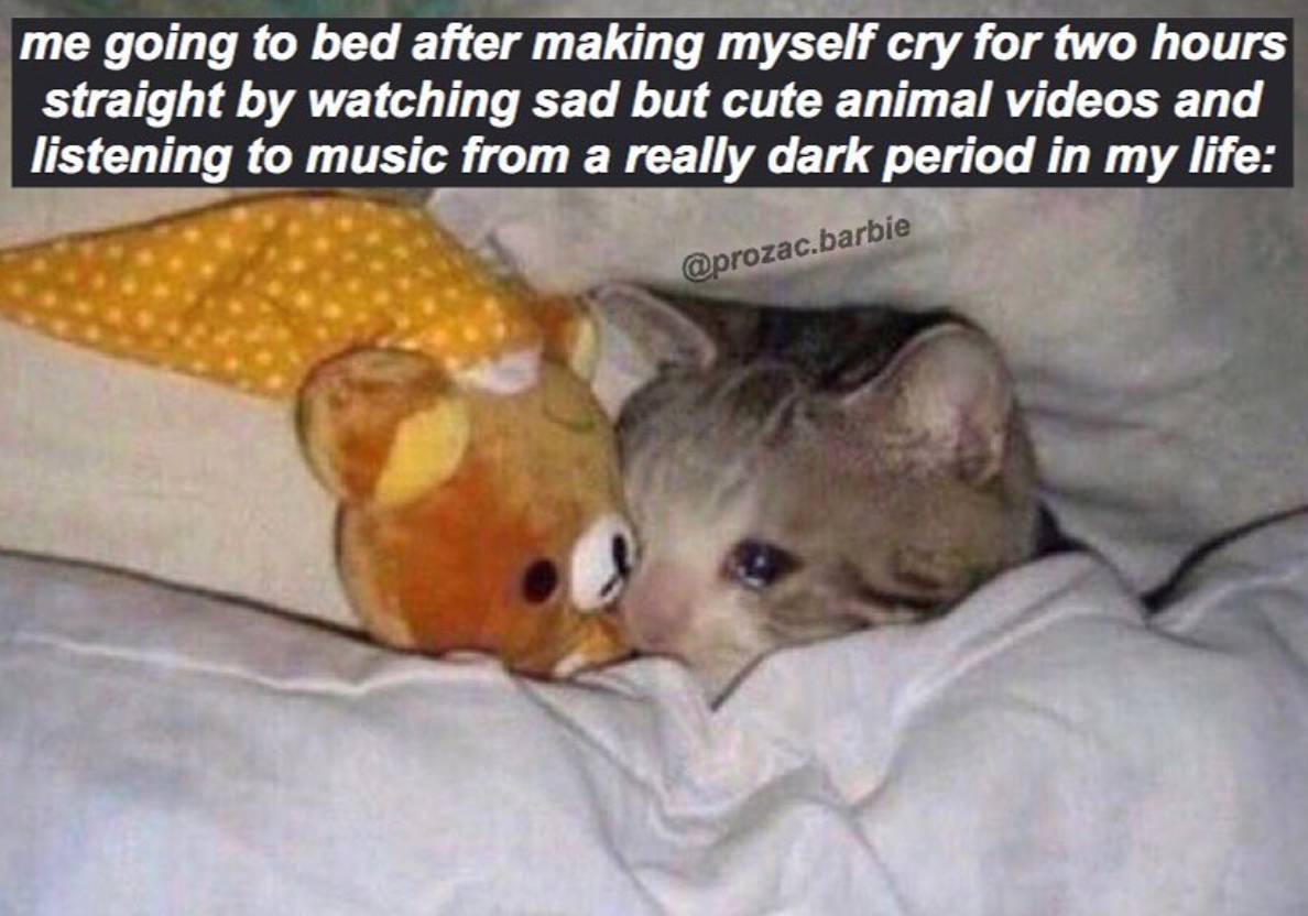 You Did This to Yourself
