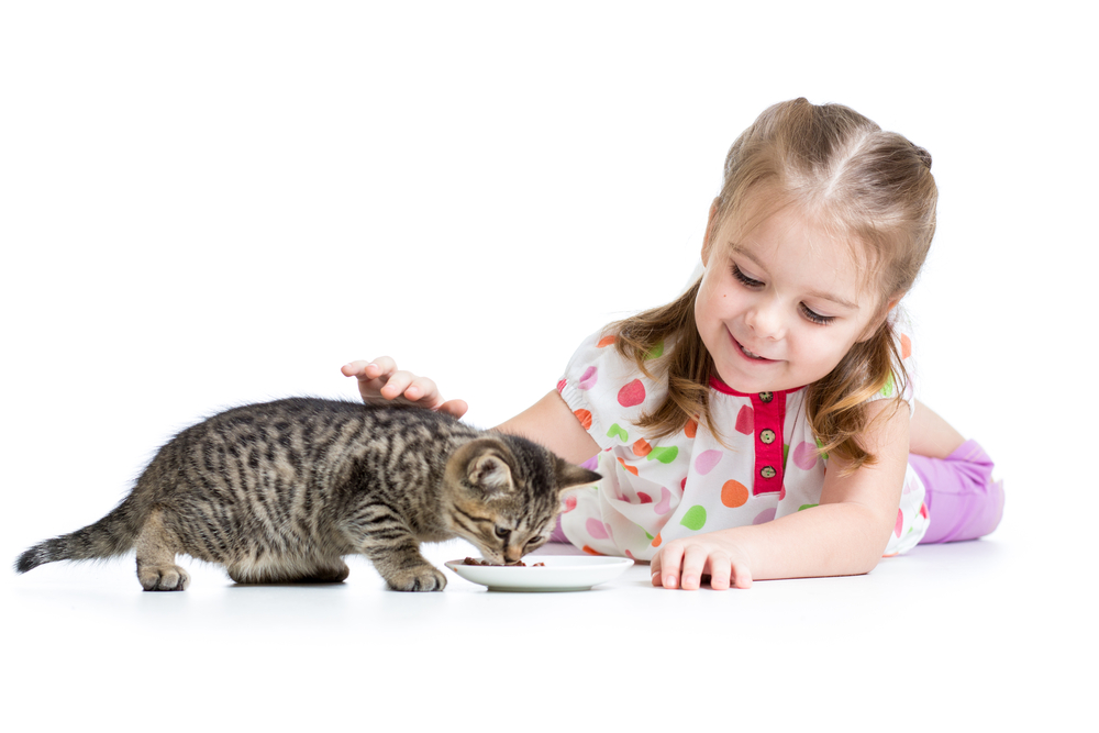 Young girl watching a kitten eat