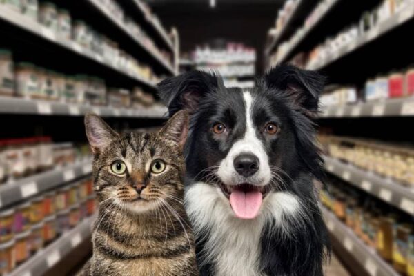 a cat and dog at a local store