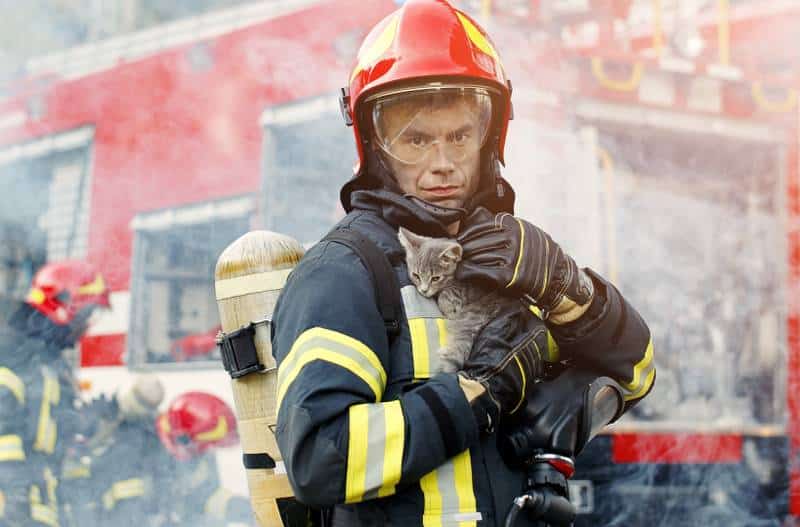 a firefighter carrying a cat during a fire incident