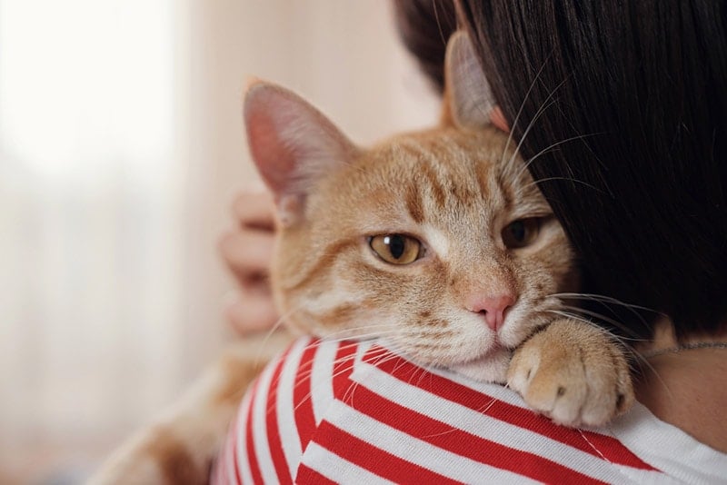 a woman hugging her cat