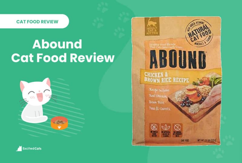 abound cat food review