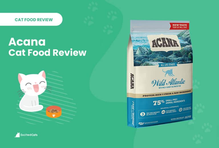 Acana Cat Food Review of 2024 Recalls, Pros & Cons Catster