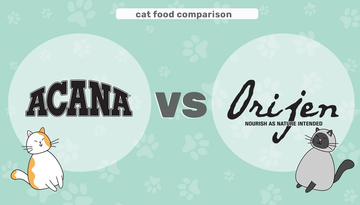 acana vs orejin header 2 ec