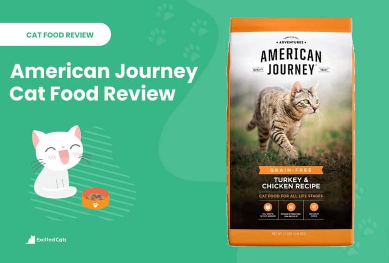 american journey rating