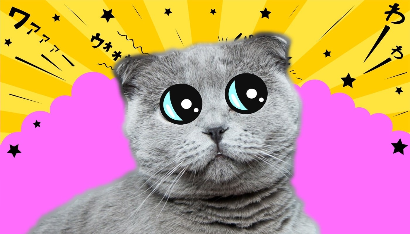 https://www.catster.com/wp-content/uploads/2023/11/anime-cat-1.jpg