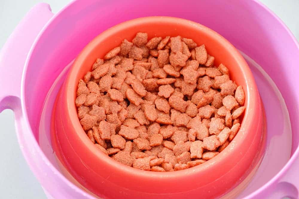 ant-proof red cat bowl_pedphoto36pm_Shutterstock