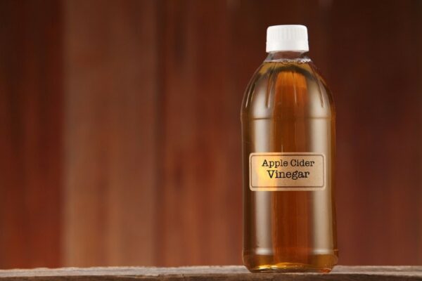 Curated visual reference: Picture Idea: Does Apple Cider Vinegar Kill Fleas On Cats Our Vet