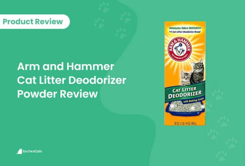 arm and hammer review