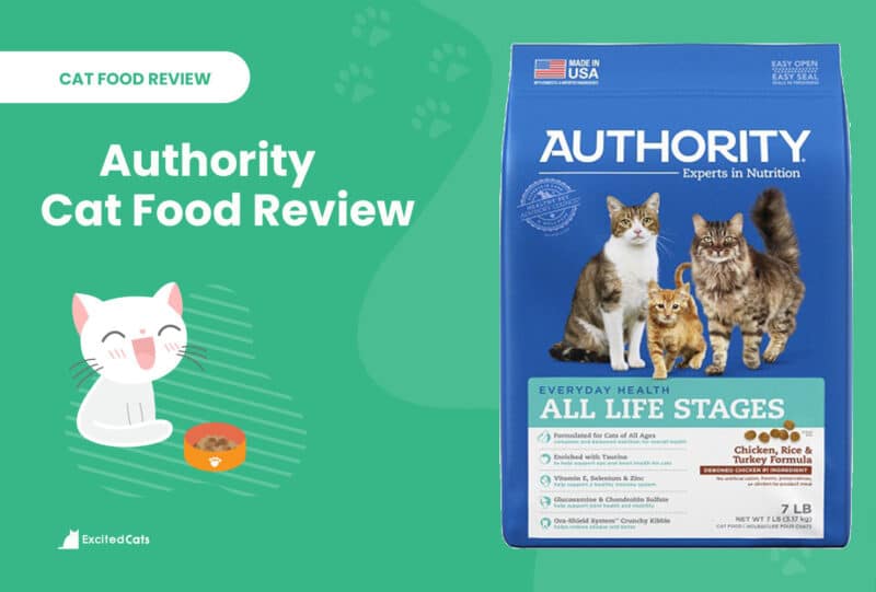 authority review