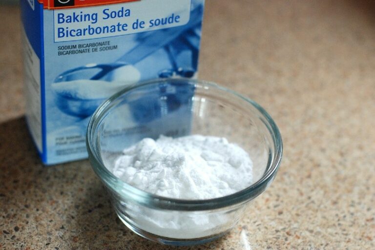 Does Baking Soda Kill Fleas on Cats? VetApproved Effectiveness & FAQ