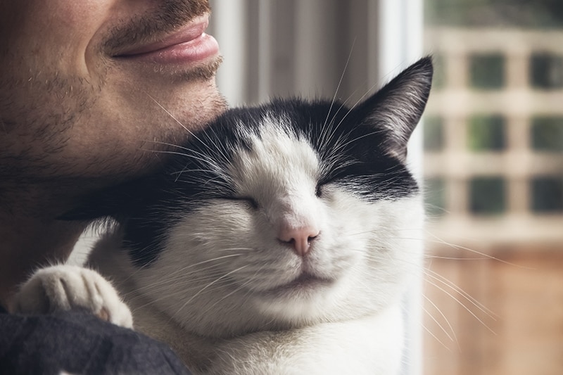 bearded man cuddling a cat close up