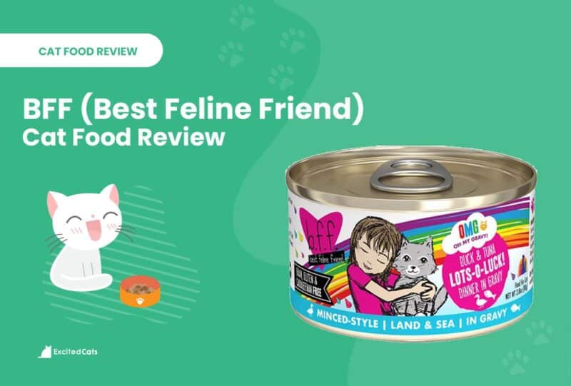 bff food review