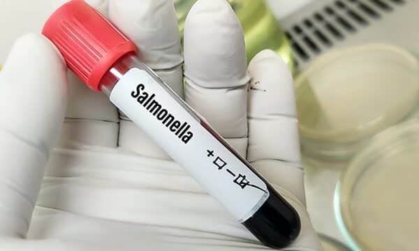 blood sample negative on salmonella