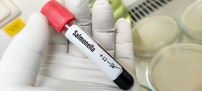 blood sample negative on salmonella