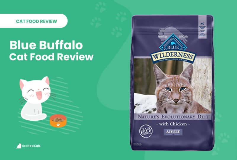 blue buffalo review