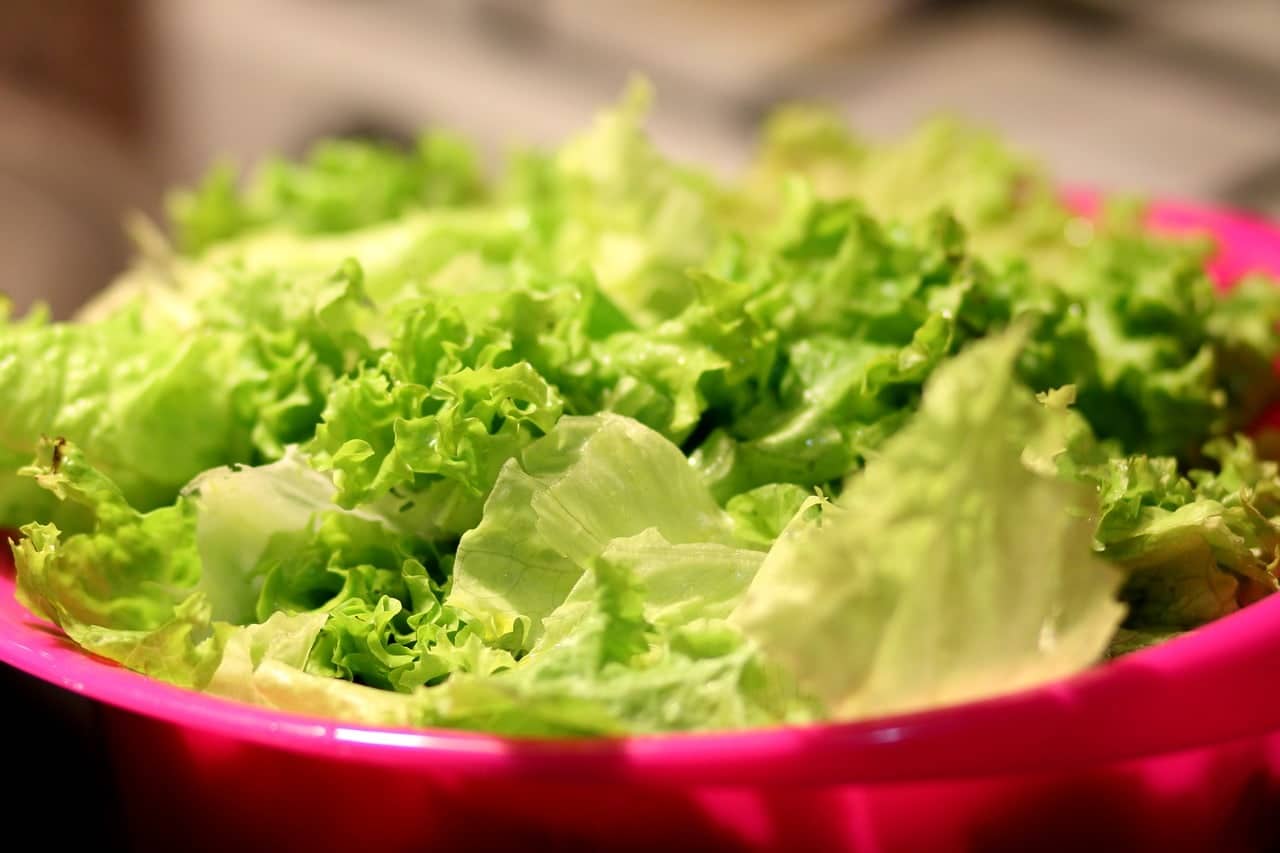 bowl of lettuce