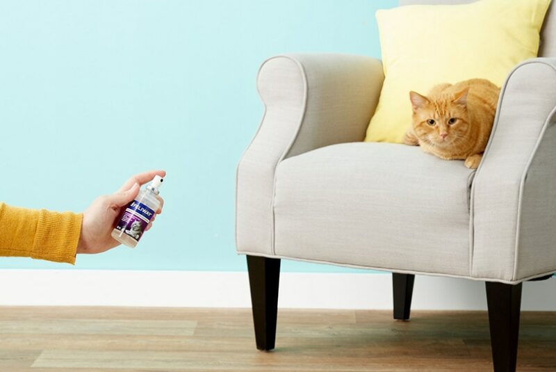 calming spray for cat