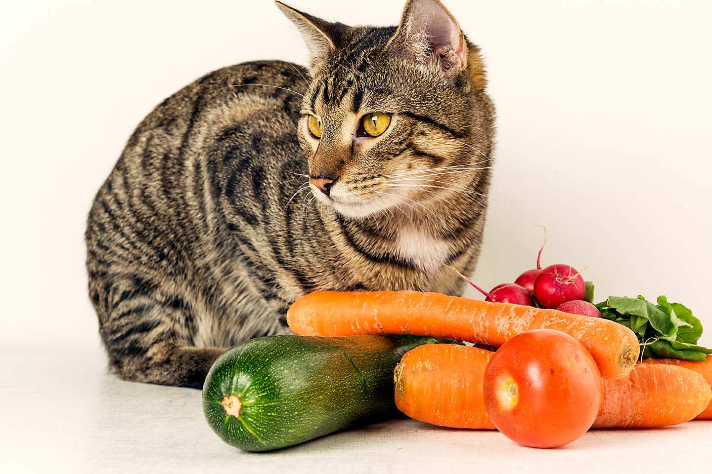 cat and vegetables